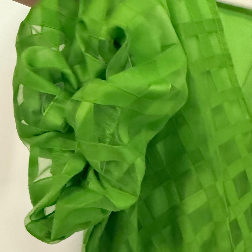 Green Organza Grid Dress Puff Sleeve V-Neck Size M - Picture 3 of 7
